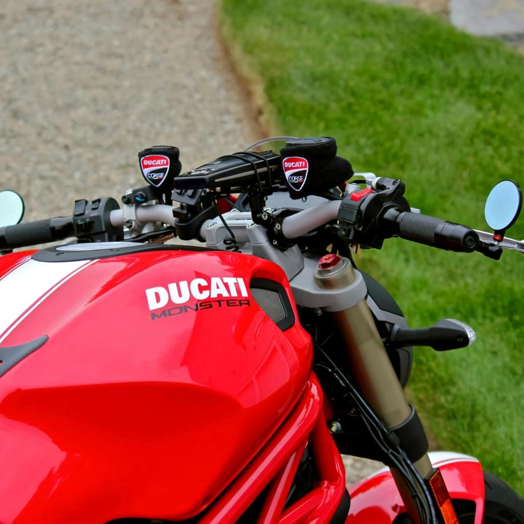 Rizoma mirrors ducati monster sale