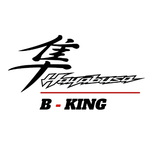 HAYABUSA / B-KING