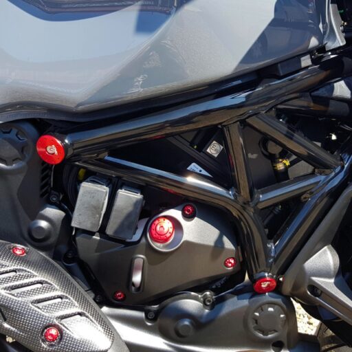 CNC Billet Frame Plug Kit - TT335 - Ducati Monster 821 2015-2021