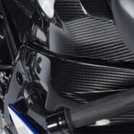 GFP Carbon Fiber Frame Covers - BMW S1000R 2014-2016