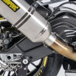 GFP Carbon Fiber Swingarm Covers - BMW S1000R 2014-2019