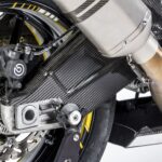 GFP Carbon Fiber Swingarm Covers - BMW S1000R 2014-2019