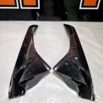 GFP Carbon Fiber Upper Infill Panels - BMW S1000RR 2015-2019