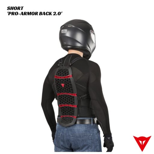 Dainese Pro-Armor Back Protector SHORT 2.0